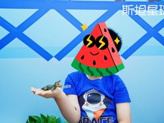 -斯坦星球AI编程·机器人科创·科学实验·信奥·思维·STEM·乐高·竞赛考级(长宁虹桥大融城荟聚中心)