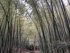 -敬亭山风景名胜区