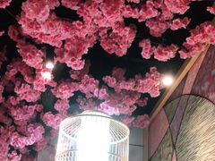 -九田家黑牛烤肉料理·自助(洪洞县城市花园店)