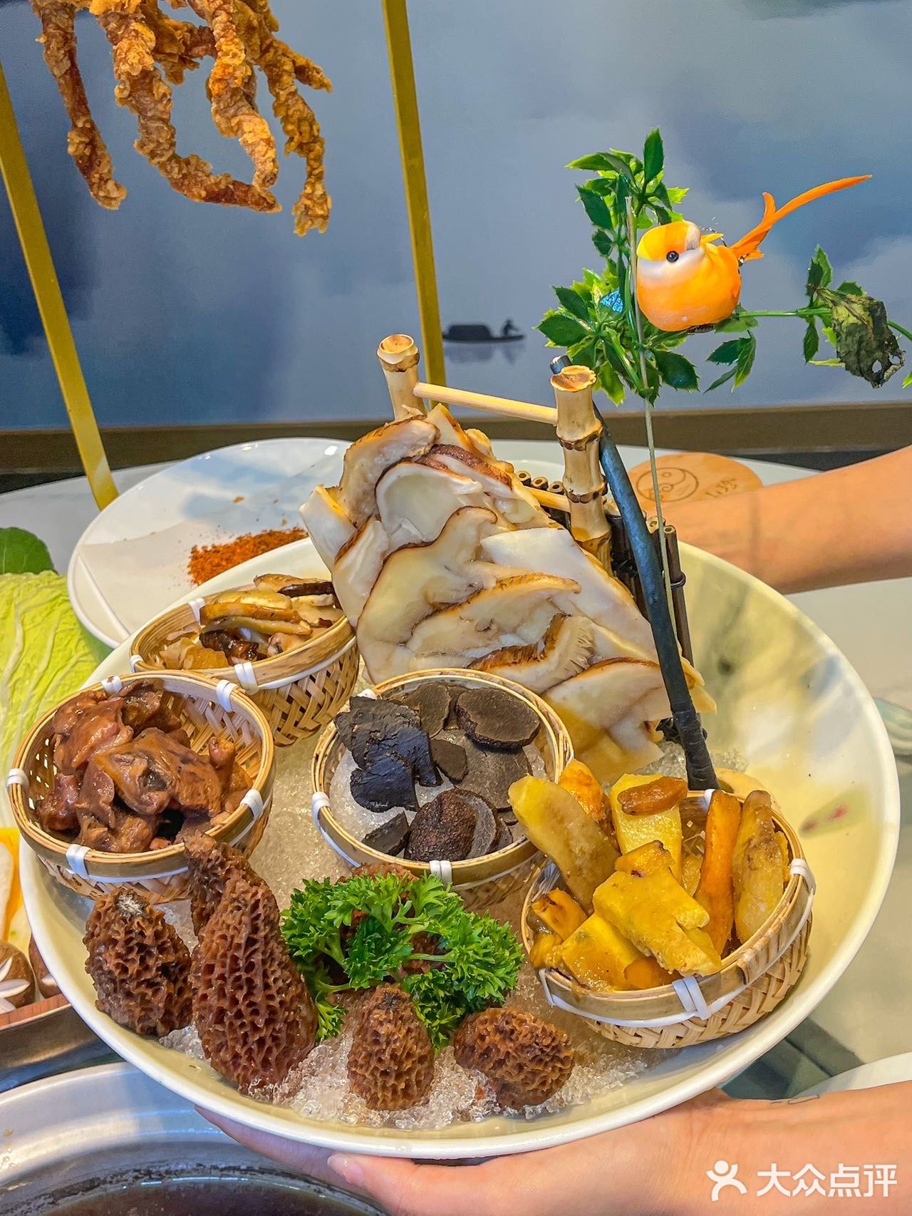名善珍品🍄 成都独家全菌系列汤锅被我找到‼️