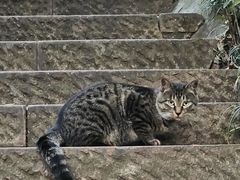 -杭州半山国家森林公园