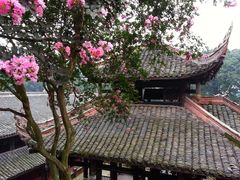 -峨眉山报国寺
