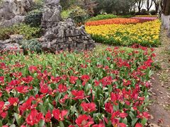 -上海鲜花港