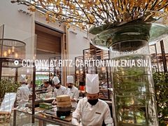-Colony(新加坡丽思卡尔顿美年酒店)