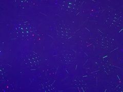 -济南方特东方神画