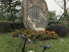 -东岳体育公园