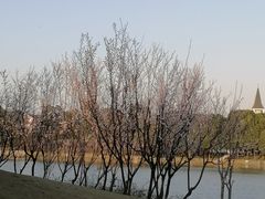 -美兰湖景区