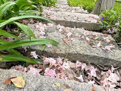 -厦门园林博览苑
