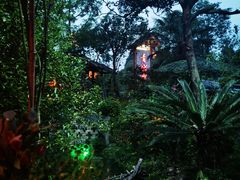 -青城甲(青城山店)