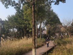 -大渡口区义渡公园