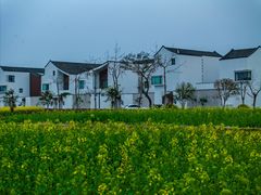 -东梓关景区村庄