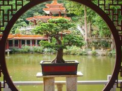 -深圳仙湖植物园
