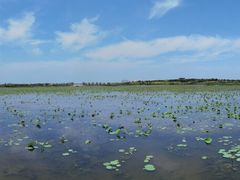 -天津东丽湖风景区