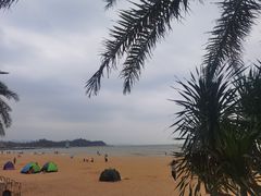 -太平洋咖啡(海滨泳场店)