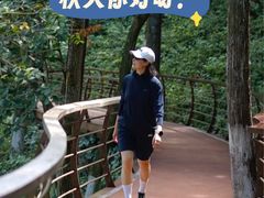 -莫干山风景区