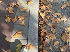 -山东外贸职业学院