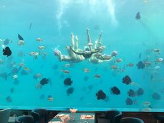 -瑞德姆美人鱼海底演艺主题餐厅(亚龙湾店)