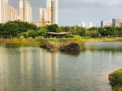 -福田红树林生态公园