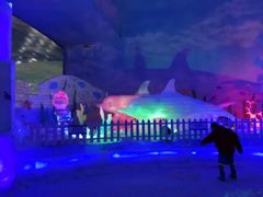-世界之窗阿尔卑斯冰雪世界