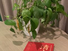 -十九号公馆露台酒店(长沙五一广场店)