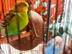 -程府宴(南长街四合院店)