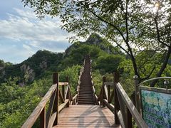 -大岭沟猕猴桃谷风景区