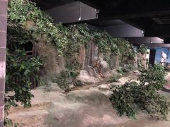 -九江双蒸博物馆