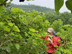 -百果山乐享果玩