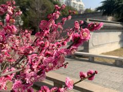-东水关遗址公园