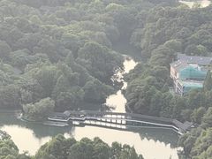 -九曜山