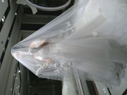android_upload_pic-韩国天使嫁衣婚纱礼服馆(上海旗舰店)