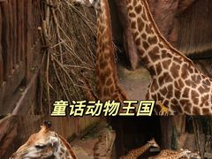 -长鹿旅游休博园