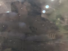 -北京海德酒店温泉