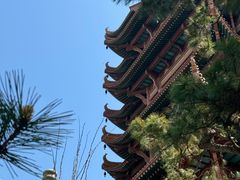 -黄鹤楼