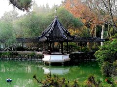-上海醉白池公园