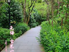 -宝界山林公园