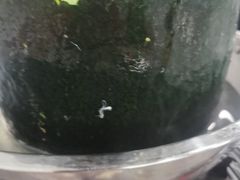 -兴兴旺·冬瓜盅·啫啫煲(西华路店)