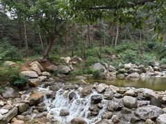 -沂蒙山旅游区云蒙景区(蒙山国家森林公园)