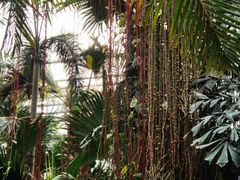 -北京植物园-展览温室