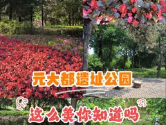 -元大都城垣遗址公园