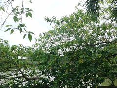 -金稼园·金平湖农家菜