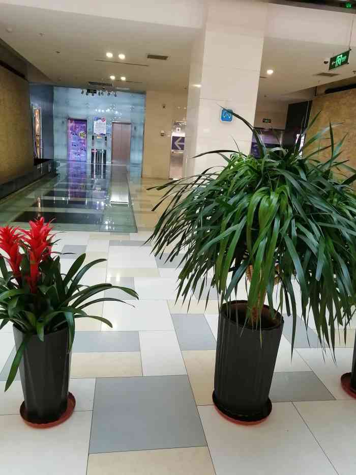 鹏欣水游城-"就在地铁一号线西北角站上面.虽然相比之前.