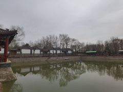 -尚庄度假村·庭台树下·户外烧烤·团建CS·轰趴营地(上庄水库店)