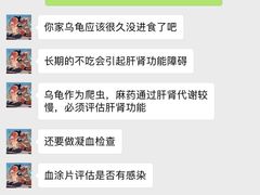 -瑞派名望24h动物医院异宠专科·猫专科·骨科·重症监护分院