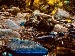 -梧桐山风景名胜区