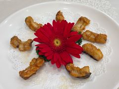 -寻味顺德·南记酒家·传统顺德菜·鱼生(广源路店)