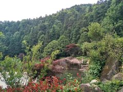 -大围山国家森林公园