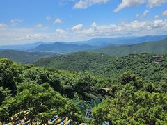 -亚龙湾热带天堂森林公园