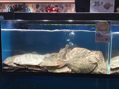 -盒马鲜生(曜一城店)