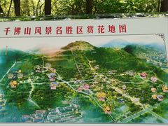 -千佛山风景名胜区